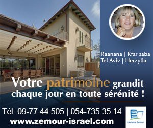 ban-zemmour-227-300x250