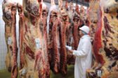 Shéhita, réflexion sur la maltraitance animale