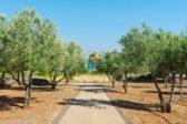 Les Nouvelles tendances de l’agrotourisme en Israël