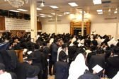 NYLD : New-York Loubavitch Department*