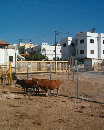 Ghajar, un Village à cheval sur deux Frontières