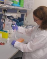 Révolutionner le traitement du diabète : des progrès sur le micro-pancréas