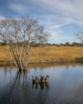 Israël : Un lac artificiel à Ashkelon
