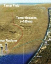 Israël a suspendu la production de son champ de gaz naturel Tamar, au large de la côte sud de la Méditerranée