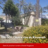 Ein Gev
