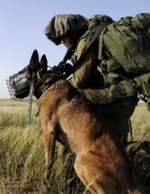 Les Chiens de Tsahal (Article écrit en 2016)