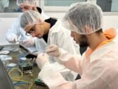 Des lycéens israéliens lancent une constellation de 9 nanosatellites de recherche