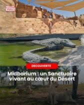 Midbarium n’est pas un zoo classique
